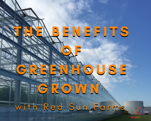The Benefits of Greenhouse Grown